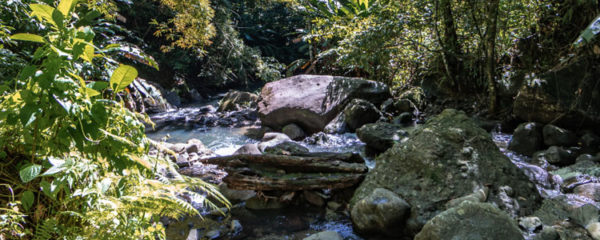 cascade en Martinique