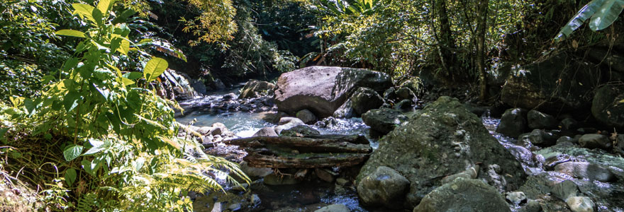 cascade en Martinique